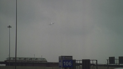 破碎之花剧照的剧照