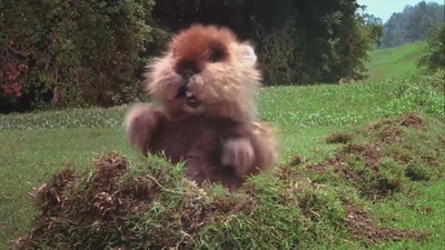 疯狂高尔夫剧照的剧照