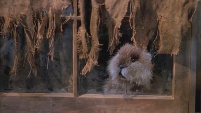 疯狂高尔夫剧照的剧照