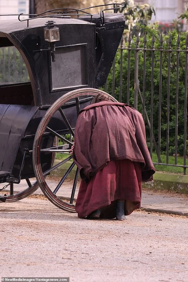 菊石剧照的剧照