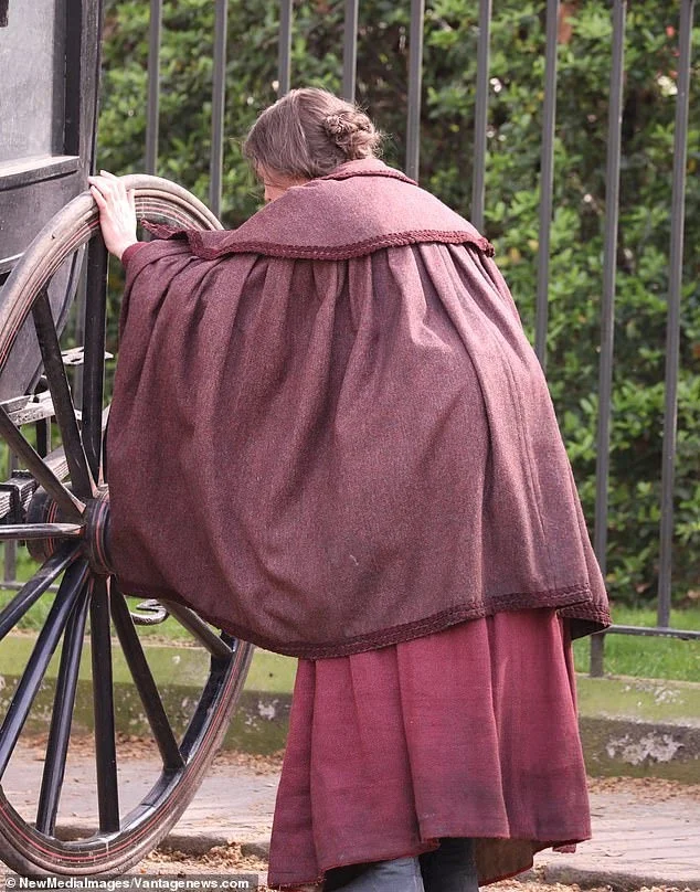 菊石剧照的剧照