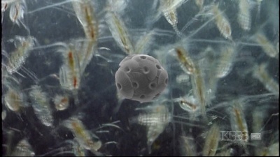 地球有难2剧照的剧照