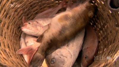 地球有难2剧照的剧照