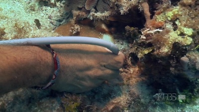 地球有难2剧照的剧照