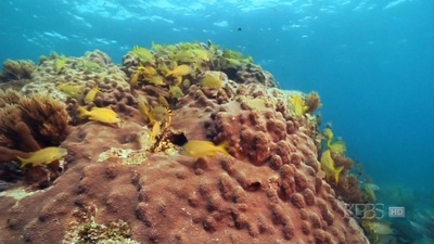 地球有难2剧照的剧照