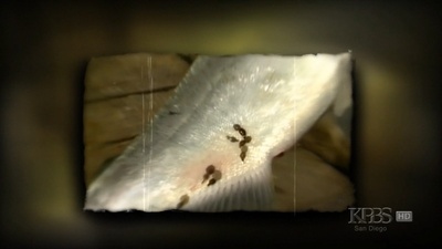 地球有难2剧照的剧照