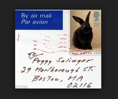 塞林格剧照的剧照