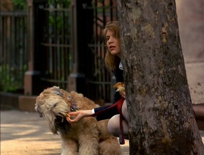 彷徨的爱剧照的剧照