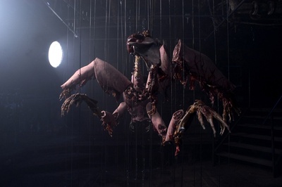 失真的画剧照的剧照