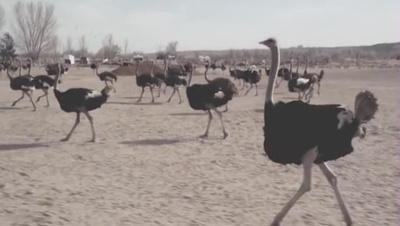 儿子，你都干了什么剧照的剧照