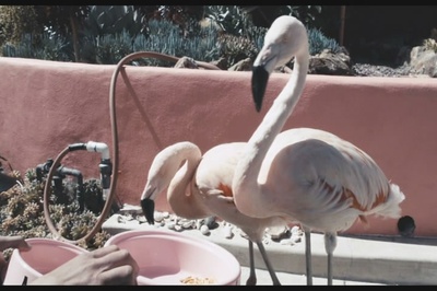 儿子，你都干了什么剧照的剧照