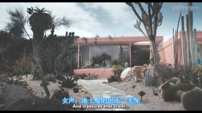 儿子，你都干了什么剧照的剧照