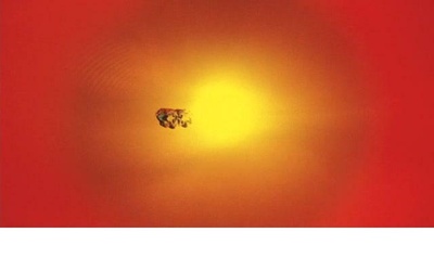 一个女人的身份证明剧照的剧照