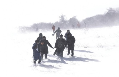 大虎剧照的剧照