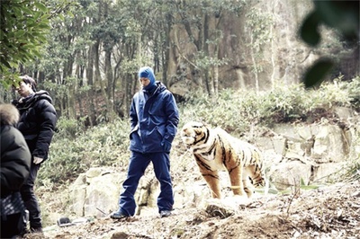 大虎剧照的剧照