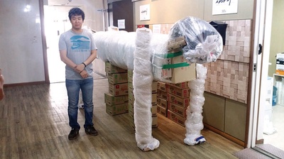 大虎剧照的剧照