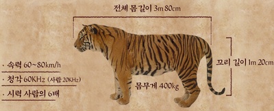 大虎剧照的剧照