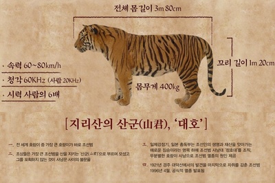 大虎剧照的剧照