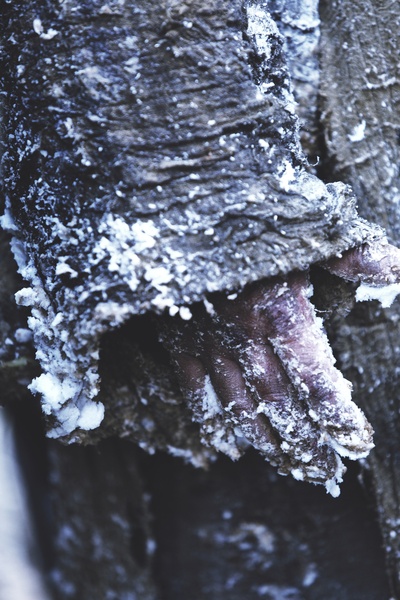 大虎剧照的剧照