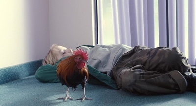 房车剧照的剧照