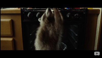 房车之旅剧照的剧照