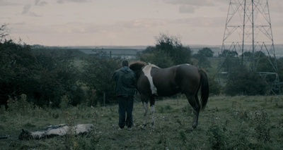 自私的巨人剧照的剧照