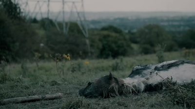 自私的巨人剧照的剧照