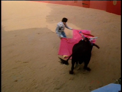 温莎行动计划剧照的剧照