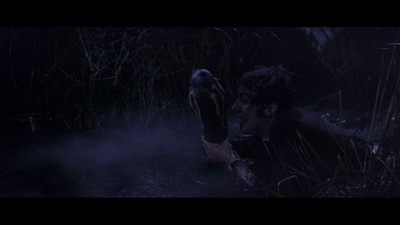 迟暮美人心剧照的剧照