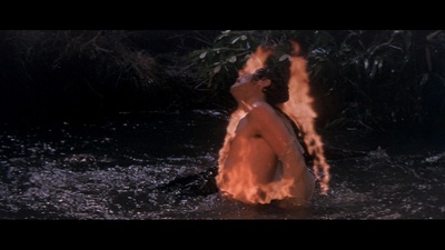 迟暮美人心剧照的剧照