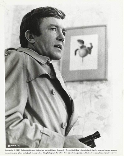 警探剧照的剧照