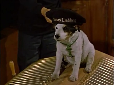 三人同舟剧照的剧照