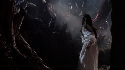 狼之一族剧照的剧照