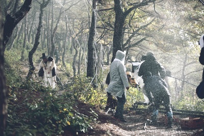 桃李花歌剧照的剧照