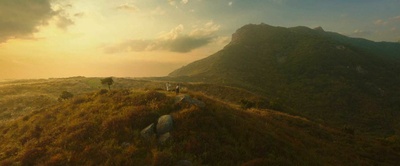 桃李花歌剧照的剧照