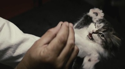 以眼杀人剧照的剧照