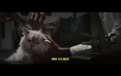 以眼杀人剧照的剧照