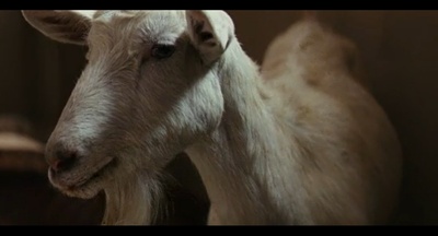 以眼杀人剧照的剧照