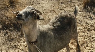 以眼杀人剧照的剧照