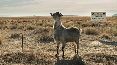以眼杀人剧照的剧照