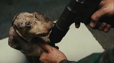 以眼杀人剧照的剧照