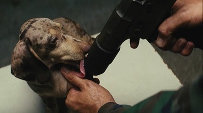 以眼杀人剧照的剧照