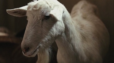 以眼杀人剧照的剧照