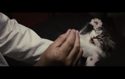 以眼杀人剧照的剧照