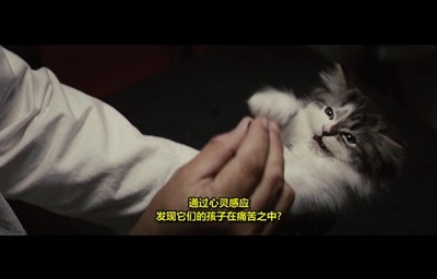 以眼杀人剧照的剧照