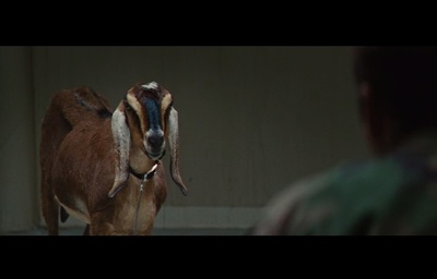 以眼杀人剧照的剧照