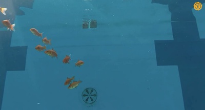 卫生间的圣母像剧照的剧照