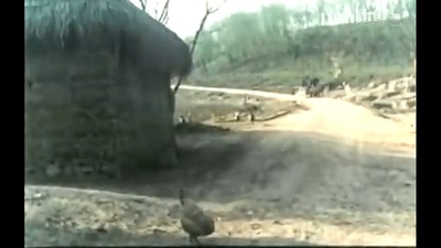 野妈妈剧照的剧照