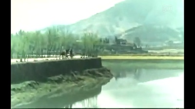 野妈妈剧照的剧照