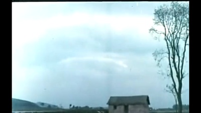 野妈妈剧照的剧照